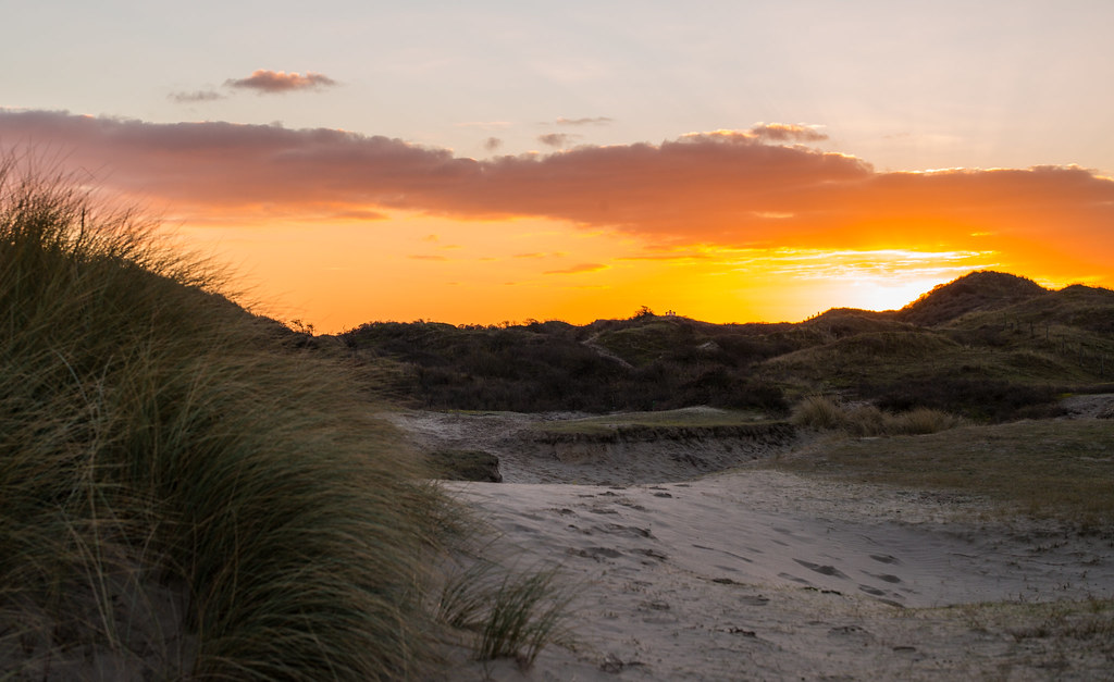 ferienwohnung zoutelande mit hund westkust holidays Sunset in the Dunes von rboed, lizenziert unter CC BY 2.0 ferienwohnung zoutelande mit hund westkust holidays Sunset in the Dunes von rboed, lizenziert unter CC BY 2.0